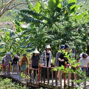 Tham qua thảm thực vật