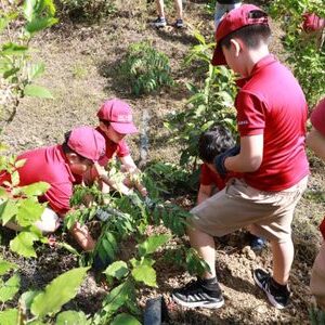 Chương trình trải nghiệm dành cho học sinh cấp tiểu học