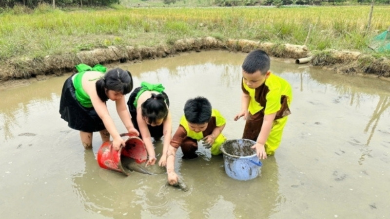 Trải nghiệm hoạt động bắt cá