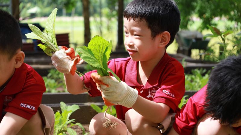 Cùng bé hái rau- chạm vào thiên nhiên