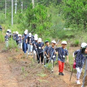 Du hành trong rừng