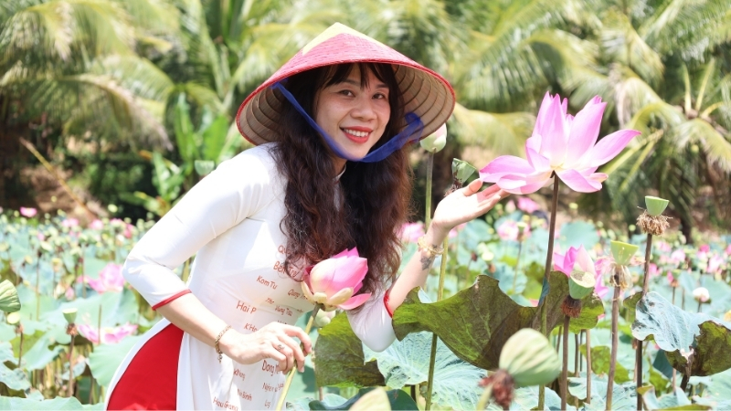 Hồ sen dành cho người mê chụp phong cảnh quê