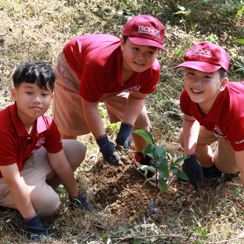 Hoạt động giáo dục trai nghiệm tại Đồng Mộc