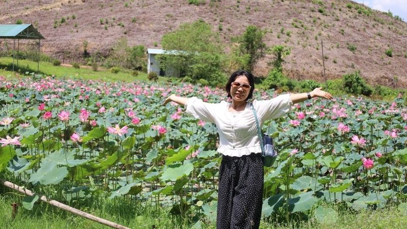 Vẻ đẹp của mùa sen – Khi đất trời khoác lên một lớp áo hồng tinh khôi