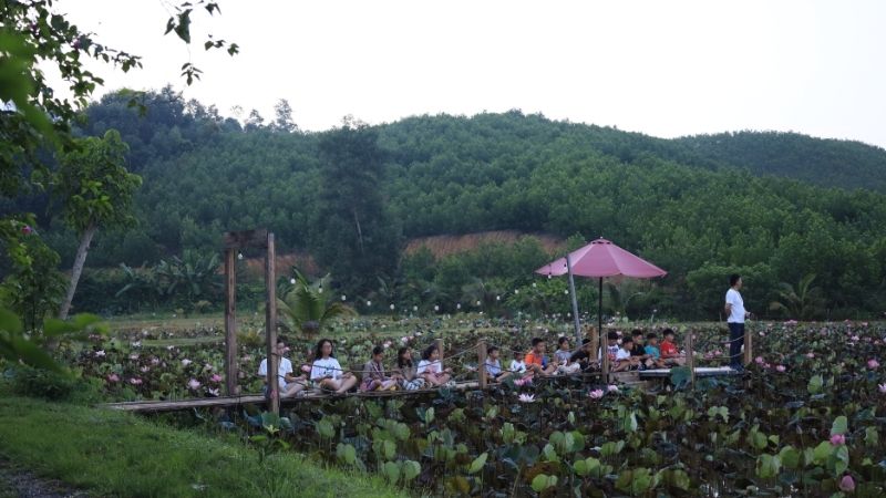 Khám phá Làng Đồng Mộc vào mùa sen nở 2025