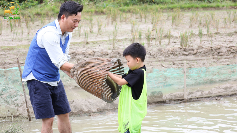 Lợi ích trải nghiệm nông nghiệp Làng Đồng Mộc