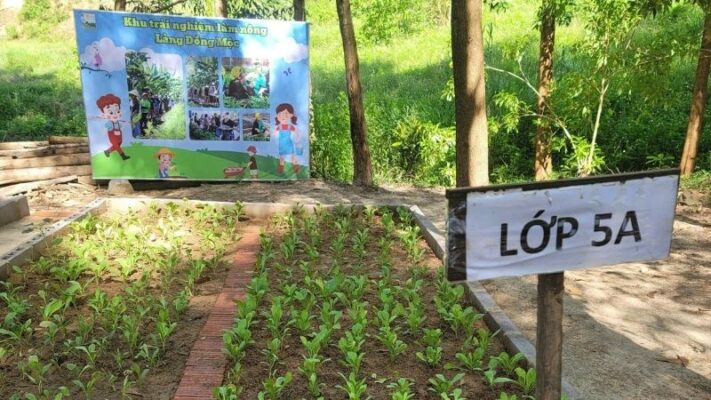 Vườn rau chính tay các con trồng