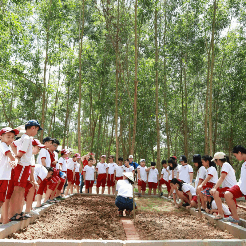 nhiều sân chơi lớn