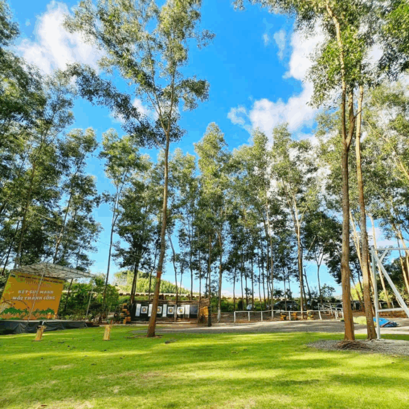 nhiều sân chơi lớn