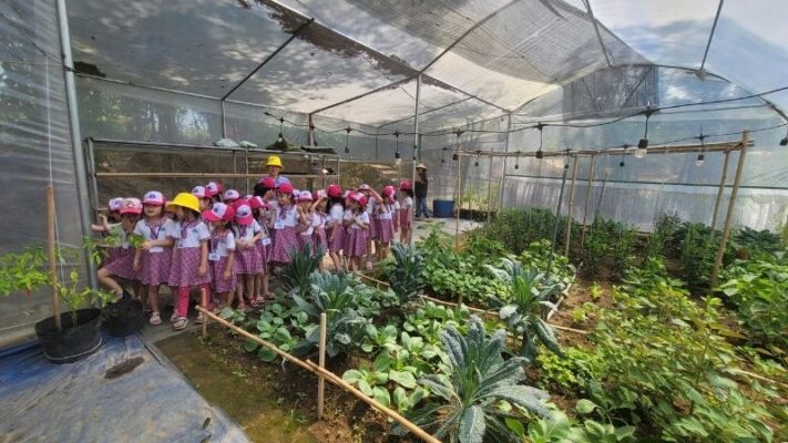 Trải nghiệm nông nghiệp ở Làng Đồng Mộc cùng học sinh mầm non
