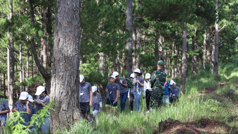 Đồng Mộc phù hợp với người thích trekking