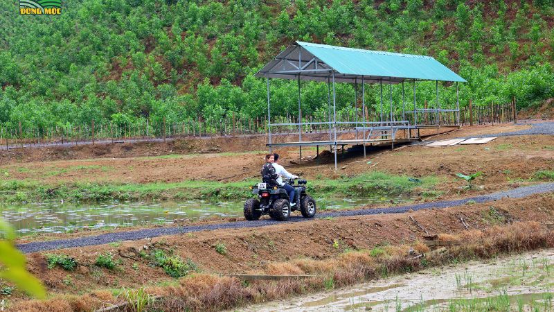 Khí hậu mát mẻ