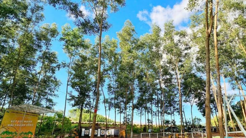 Không khí trong lành tại Đồng Mộc