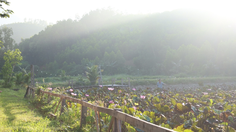 Người yêu sự bình yên miền quê