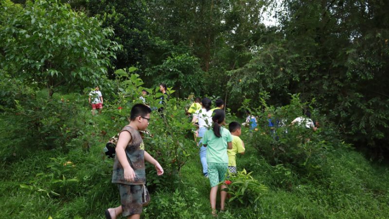 Cùng bé chạm đến thiên nhiên