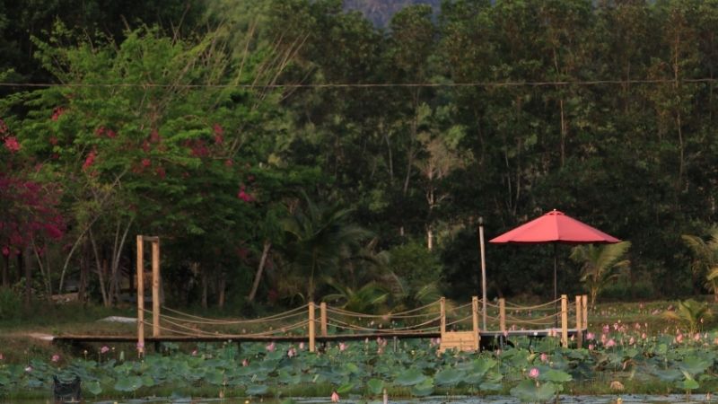 Địa điểm checkin đồng quê Nha Trang mang đậm hơi thở làng quê Việt