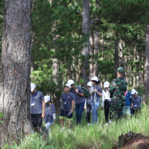 Du hành trong rừng