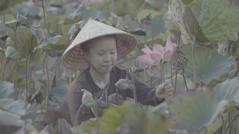 những giá trị mộc mạc, nguyên bản