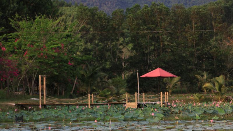 Không gian dã ngoại cho gia đình