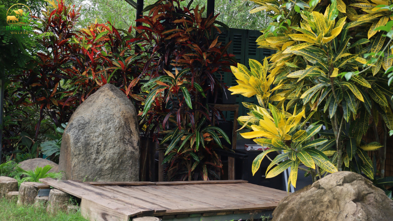 Thiên nhiên gần gũi, không khí trong lành