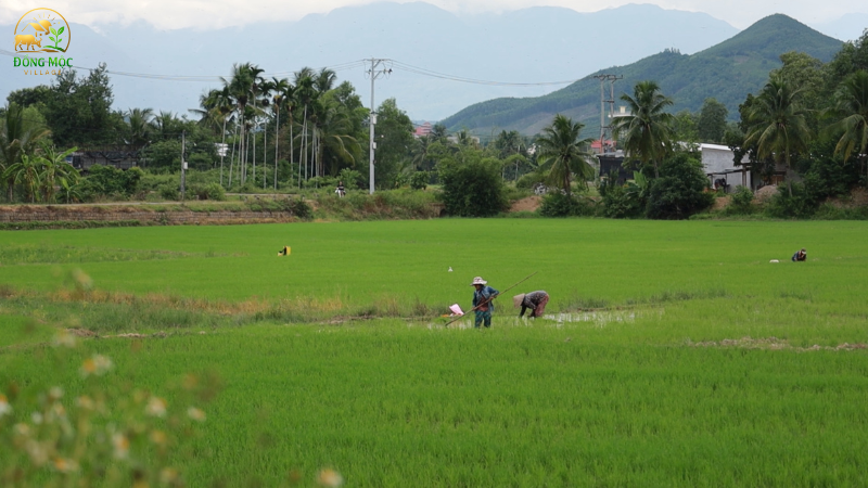 Điểm đến thư giãn cuối cùng lý tưởng cho gia đình