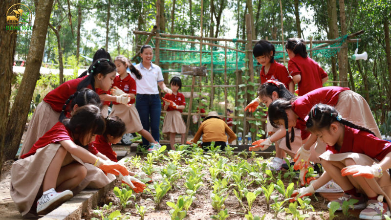 Nơi trẻ vừa vui chơi và học tập trải nghiệm