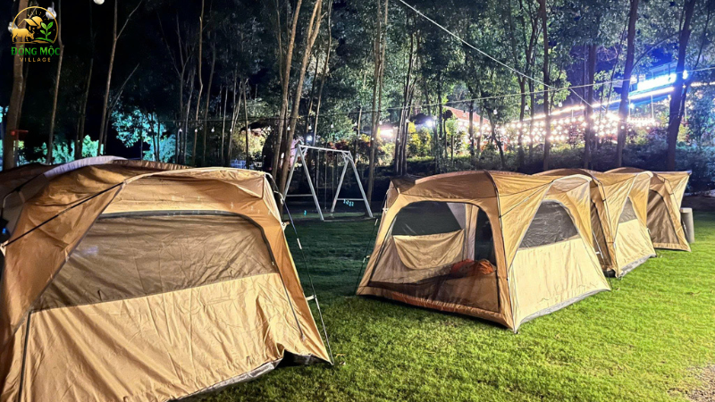 Đa dạng các hoạt động sinh thái