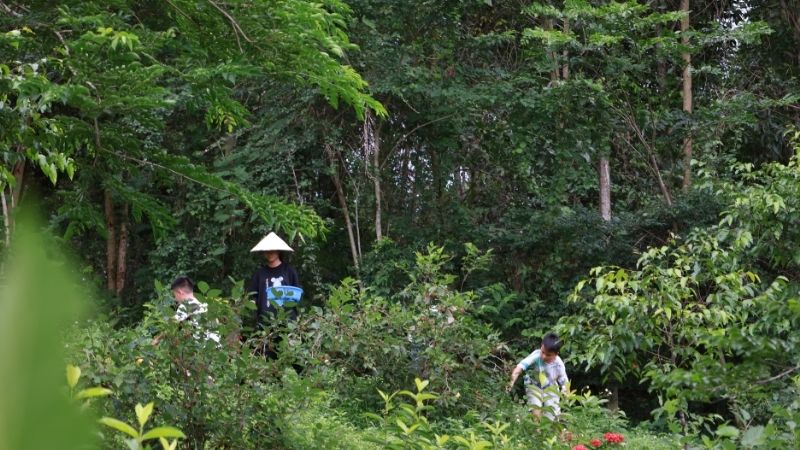 Người Yêu Thiên Nhiên Thích Chụp Ảnh Nên Ghé Làng Đồng Mộc Tại Nha Trang