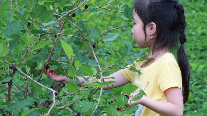 Người yêu cuộc sống làng quê
