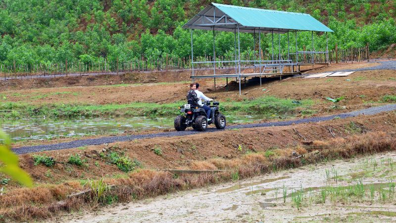 Người yêu phong cảnh miền quê