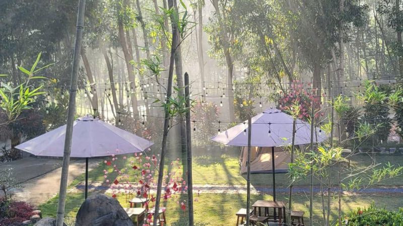 Phong cảnh tự nhiên