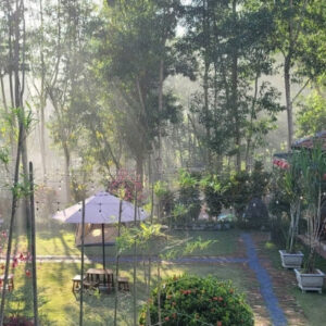 Thiên Nhiên xanh mát