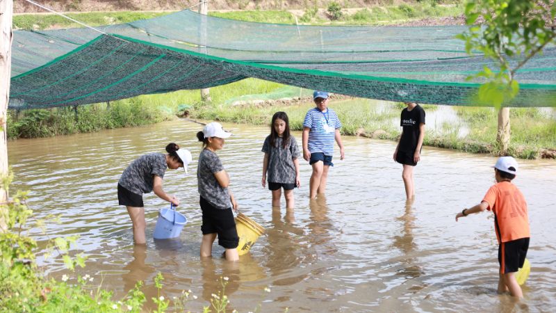 Thức sức bắt cá