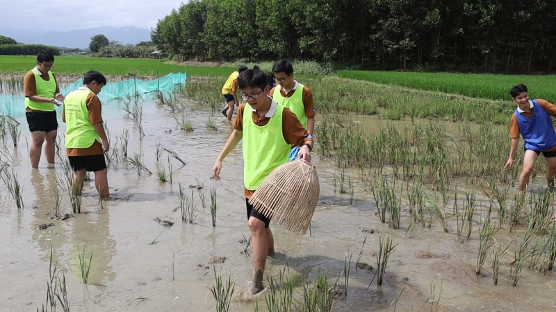Hoạt động trải nghiệm bắt cá