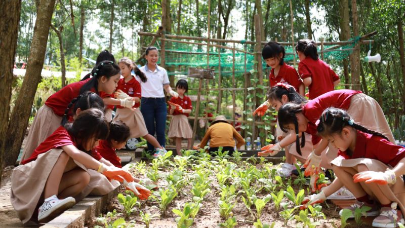Trải nghiệm hái rau