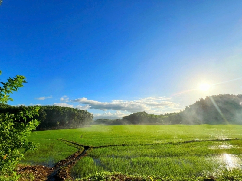 Nhóm yêu đồng quê Khánh Hòa
