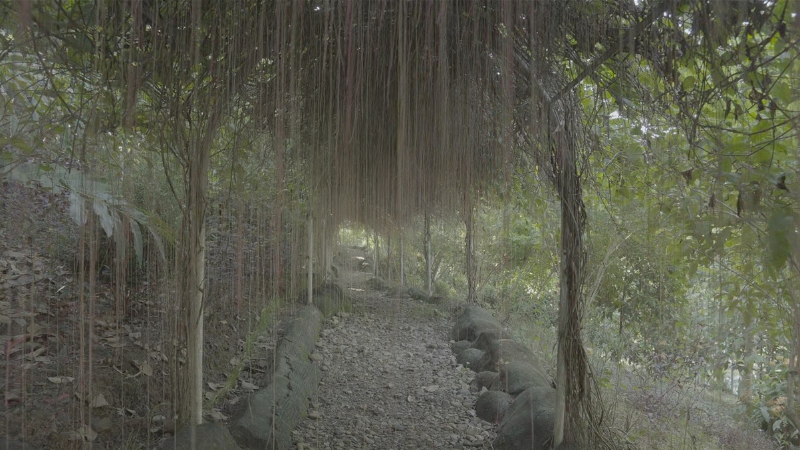 Khung cảnh bình yên vào buổi sáng sớm