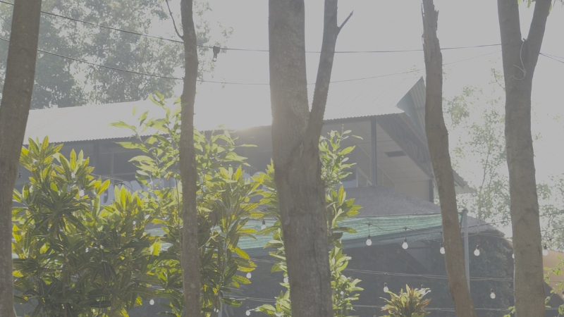 Hàng cây xanh mát