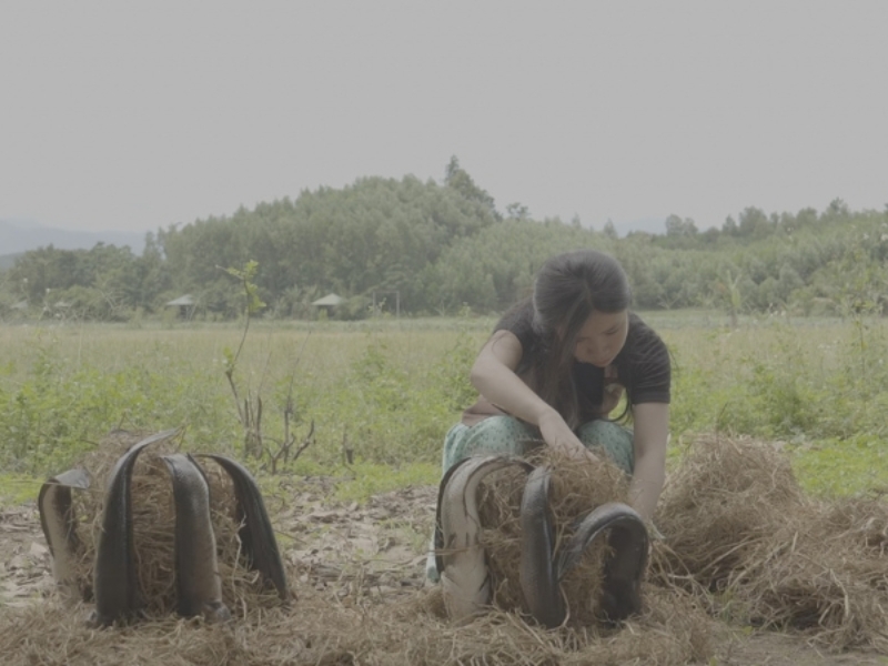 nướng cá bằng rơm khu dã ngoại miền trung