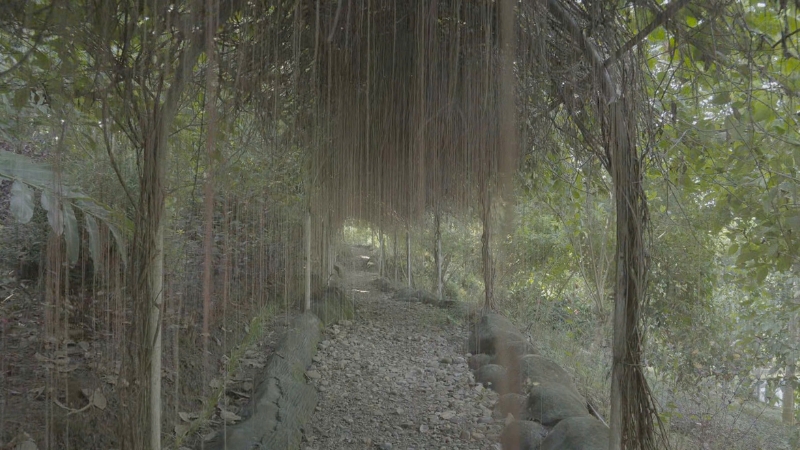 Thiên nhiên trong lành