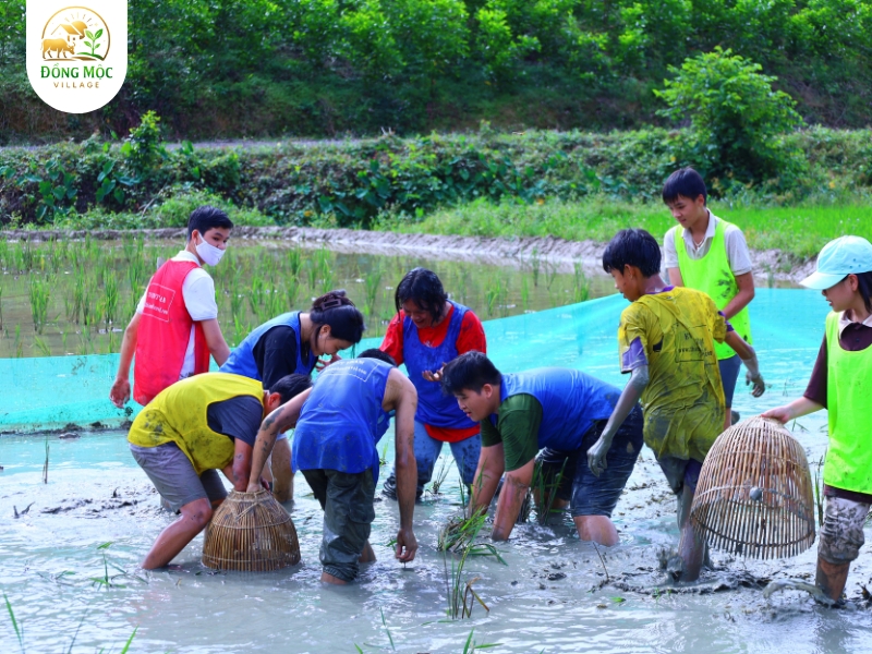 Các hoạt động trải nghiệm thú vị