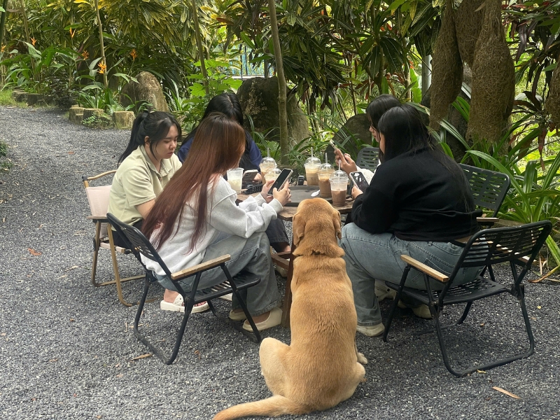 Những góc checkin, cafe cực chill