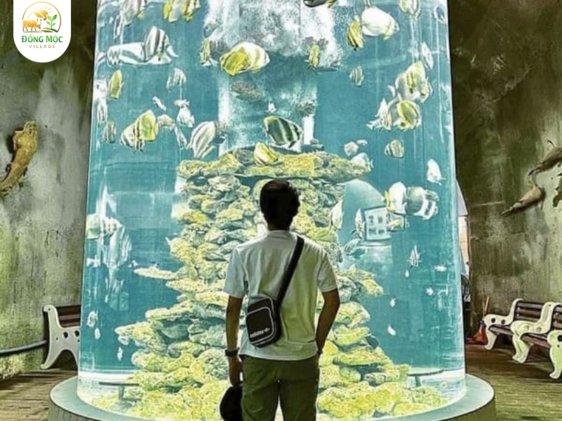 Check in Viện hải dương học