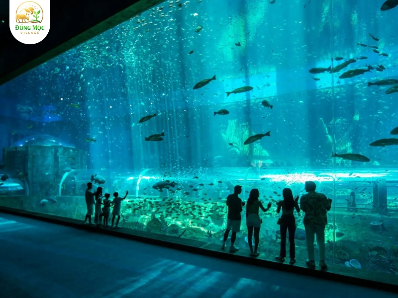 Thủy cung khám phá đại dương